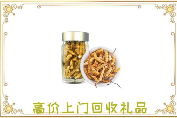 通化周边回收虫草